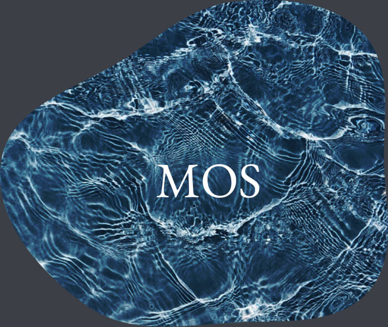 MOSのスキルを示すアイコン