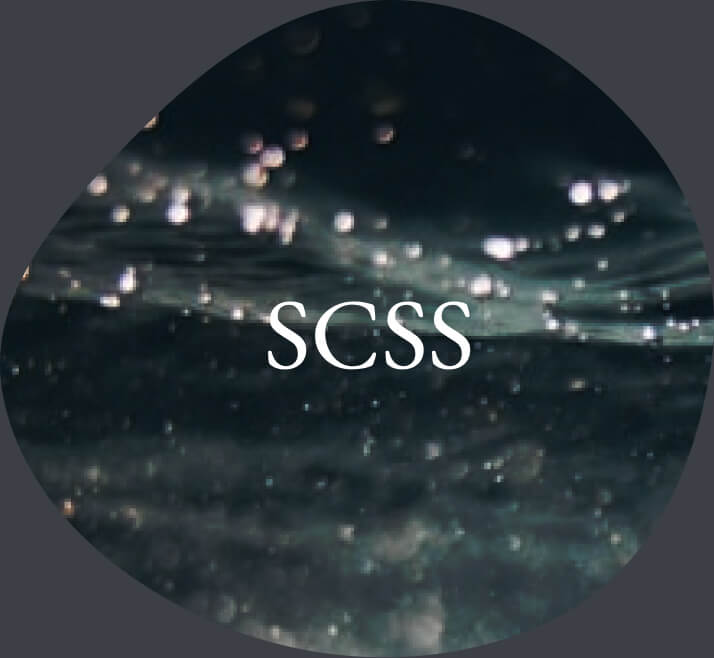 SCSSのスキルを示すアイコン