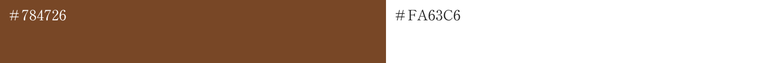 サイトデザインで使用したカラーコード:#784726、#FFFFFF